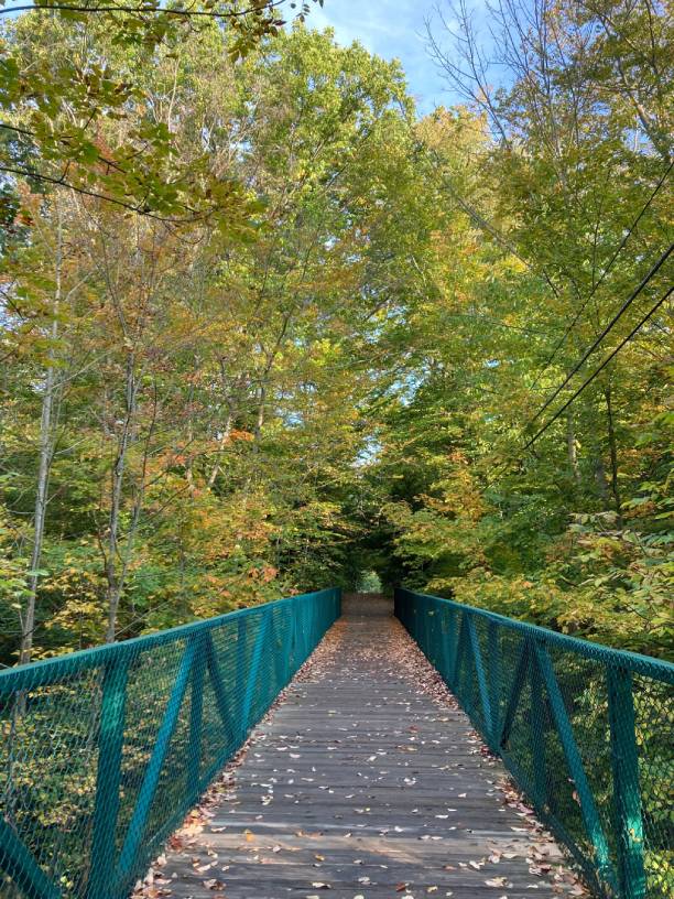 chq-bridge chq-bridge