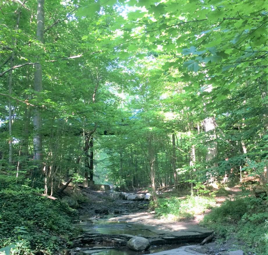 chq-creek-cropped chq-creek-cropped