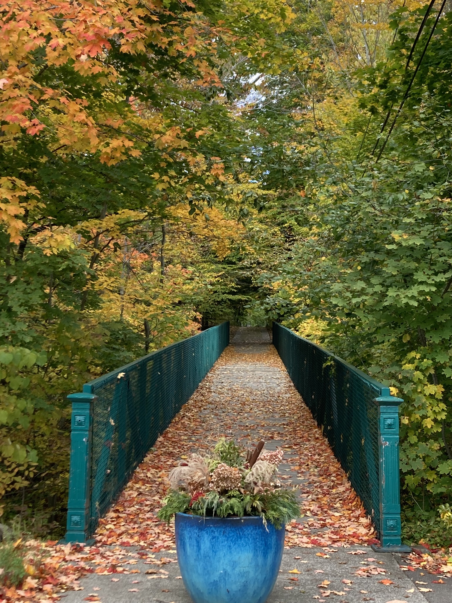 Thunder Bridge in the Fall